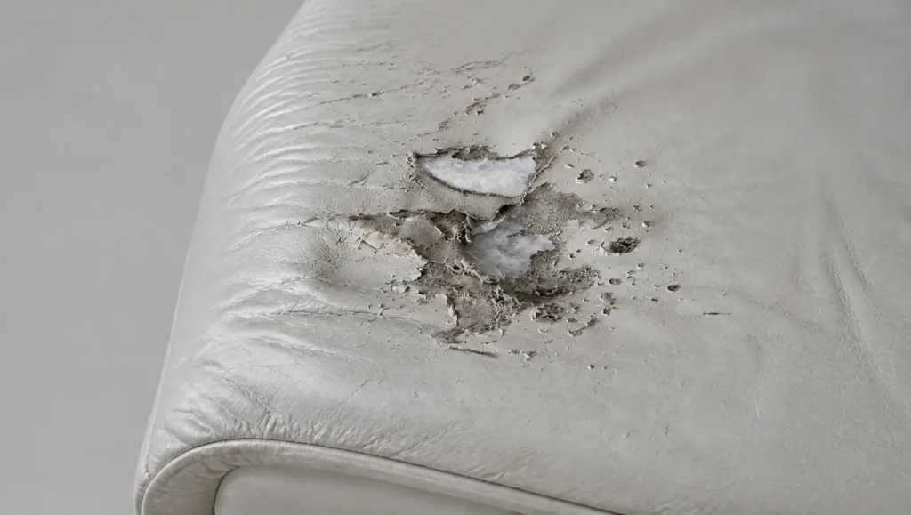 Trockenes, aufgesprungenes Leder an der Aussenlehne | Ledersofa Möbelrestauration Polster restaurieren in Wetzikon: Trockenes, aufgesprungenes Leder an der Aussenlehne, Ledersofa