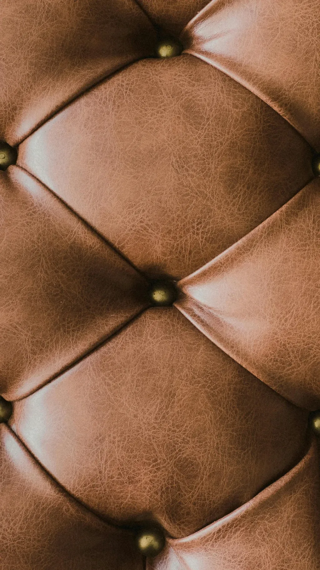 Header Background